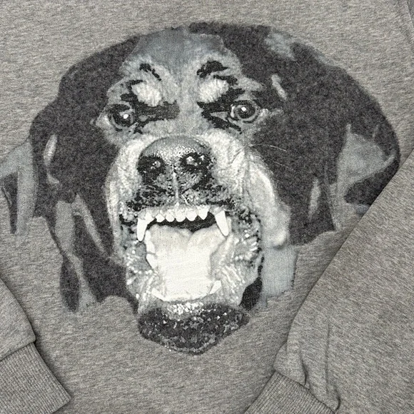 Givenchy Rottweiler sweatshirt - Picture 3 of 10